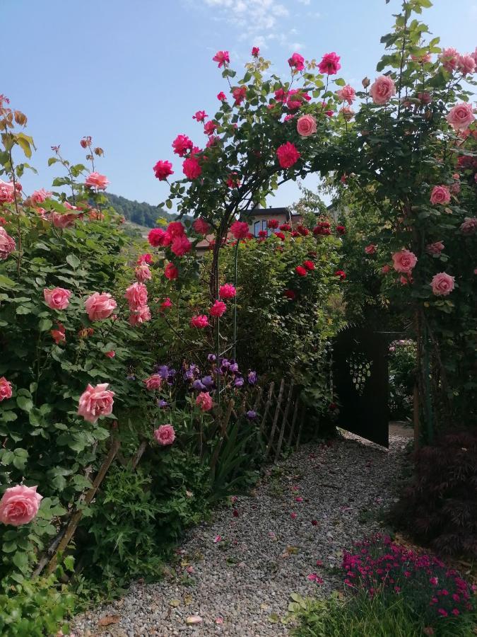 B&B 7E Art Vevey Exterior photo